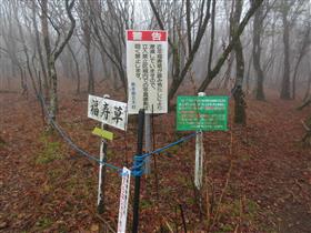 仏岩と頂上分岐点