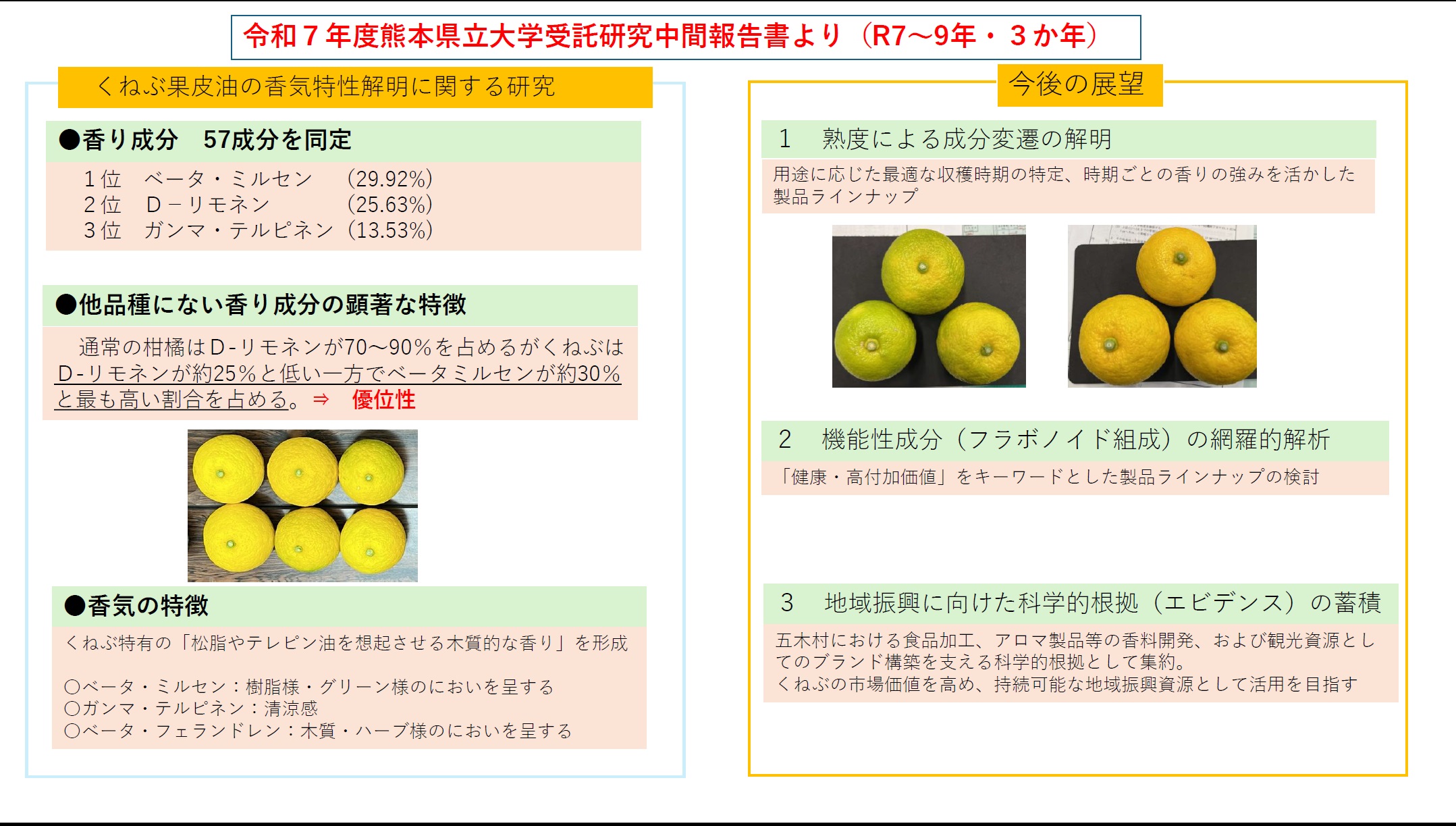 研究報告画像1